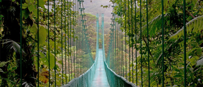 Hängebrücken im Regenwald von Costa Rica