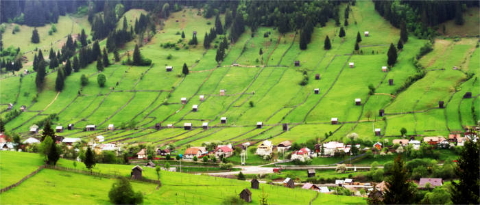 Grüne Landschaften in Moldawien