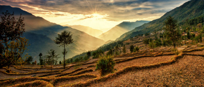 Nepal Kalinchok Photeng