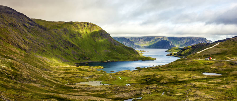 Natur am Nordkap