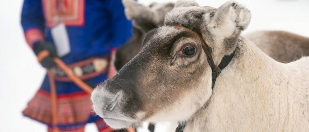 Sami-Kultur in Finnmark