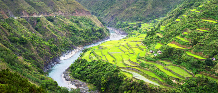 Reisterrassen von Luzon