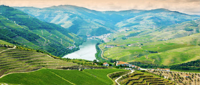 Weinbaugebiet Doura in Portugal