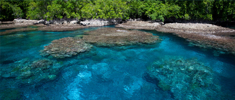 Korallenriffs der Salomonen