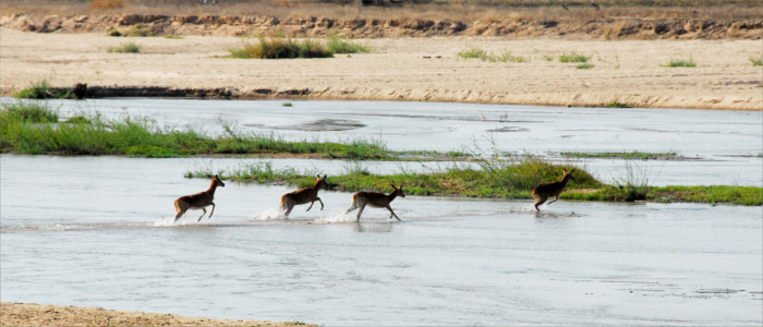 Nationalpark in Sambia