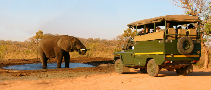 Safari in Sambia