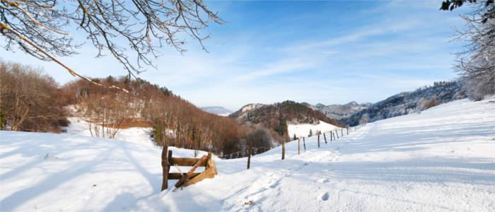 Schnee in der Nordwestschweiz