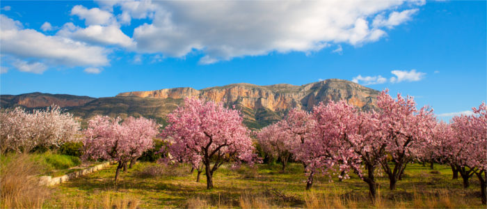 Inland im Frühling in Valencia