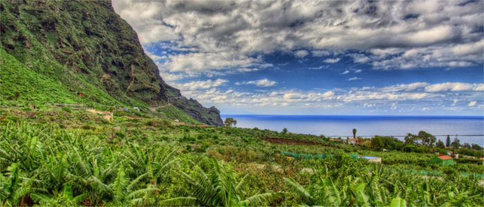 Landwirtschaft auf La Palma