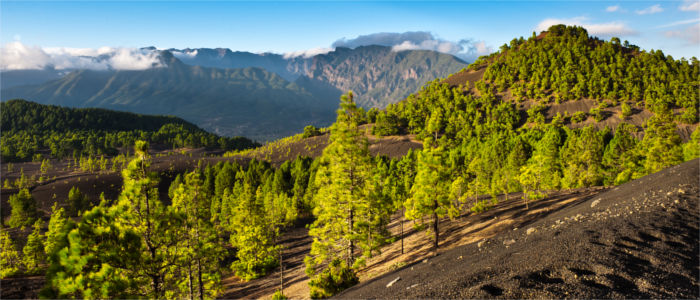 Landschaft La Palma