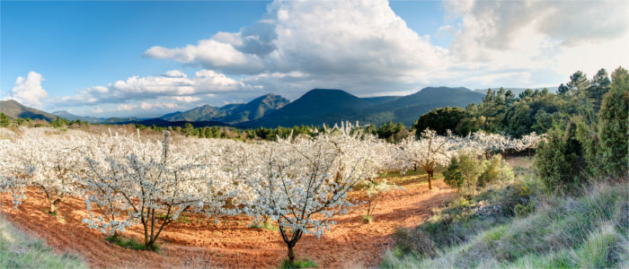 Das Jerte-Tal in Extremadura