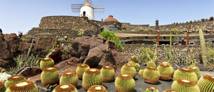 Kaktusgarten auf Lanzarote