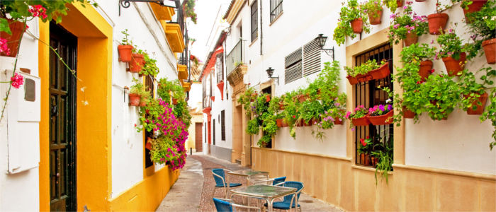 Gasse und Häuser in Córdoba - Andalusien