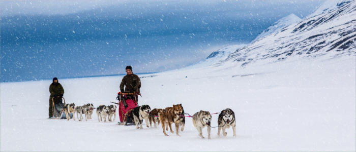 Spitzbergen - Fahrt mit dem Hundeschlitten
