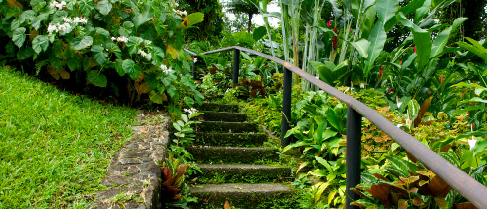 Botanischer Garten auf St. Vincent