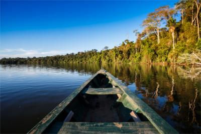 Natürliche Landschaft am Amazonas