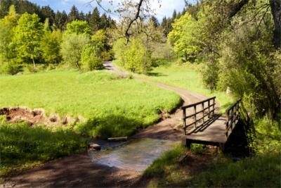 Eifelsteig in der Eifel