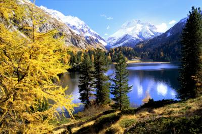 Naturschönheit im Engadin