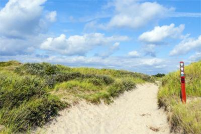 Natur dänische Nordsee