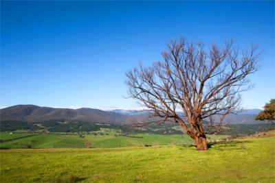 Landschaftspanorama im Gippsland