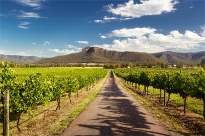 Weinanbau im Hunter Valley