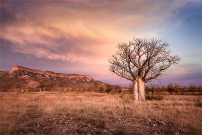 Natur in Kimberley