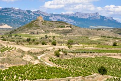 Castillo de Davalillo in La Rioja