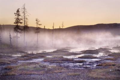 Natur in Nord-Trondelag