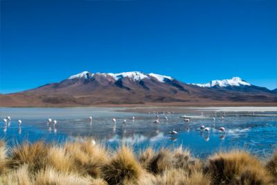 Land Bolivien