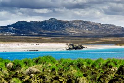 Blick auf die Falklandinseln