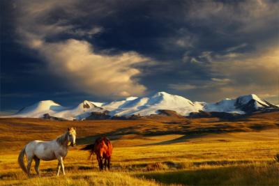 Land Mongolei