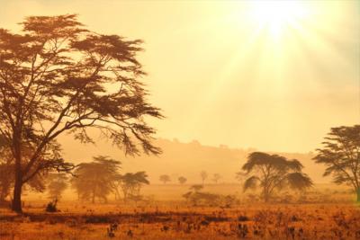 Land Südafrika