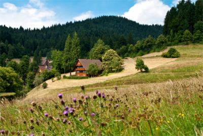 Größtes Mittelgebirge in Deutschland