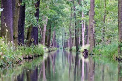 Kanal im Spreewald