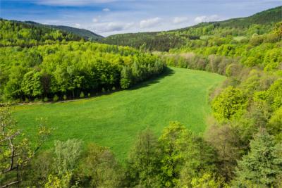 Grünes Thüringen