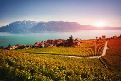 Die Weinregion Lavaux in Waadt