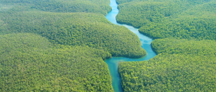 Amazonasdelta Südamerika