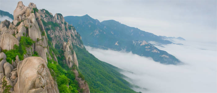 Die Nationalparks von Südkorea
