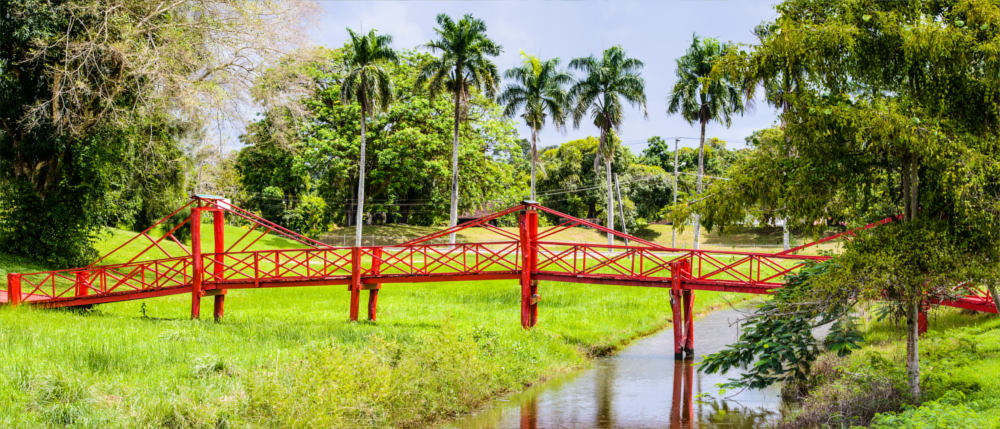 Suriname - Brücken in Paramaribo