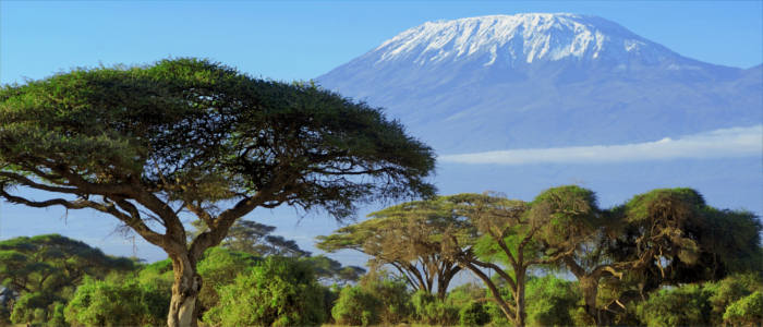 Der Kilimandscharo in Tansania
