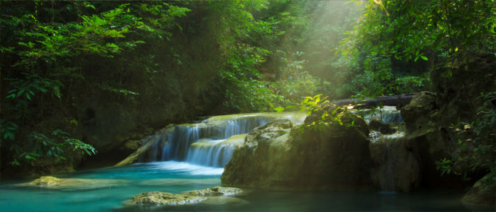 Regenwald im Erawan Nationalpark in Thailand