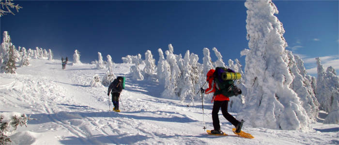 Wintersport im Riesengebirge