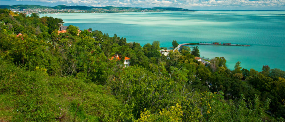 Die Vegetation im Balaton