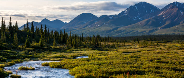 Tundra in Alaska
