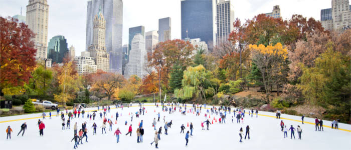 Der Central Park im Winter